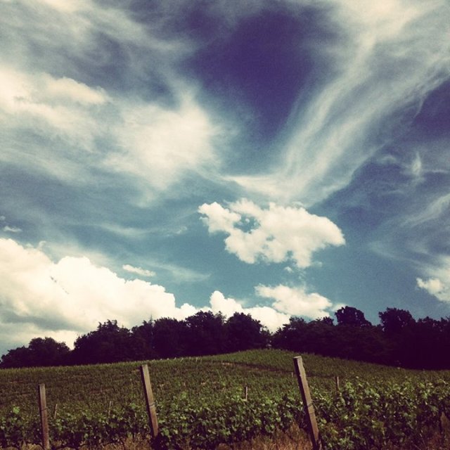 10404483_10206393781666044_2158682005484696234_n