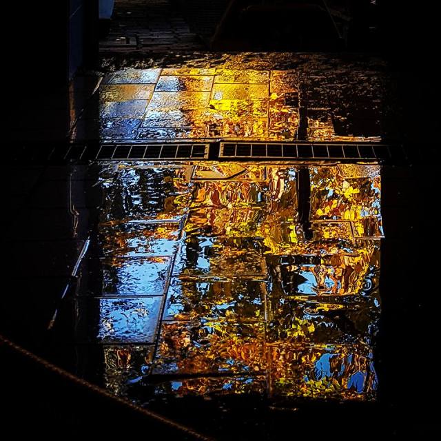 riflesso-tiglio-cantina