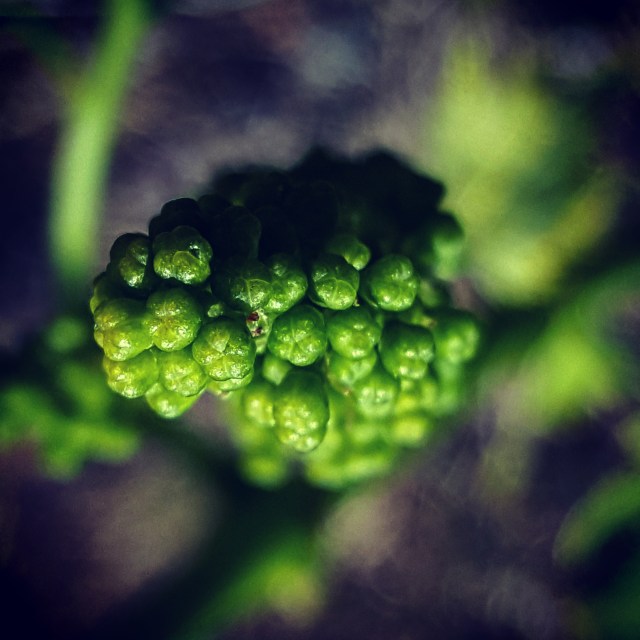 IMG_20170417_102941_939